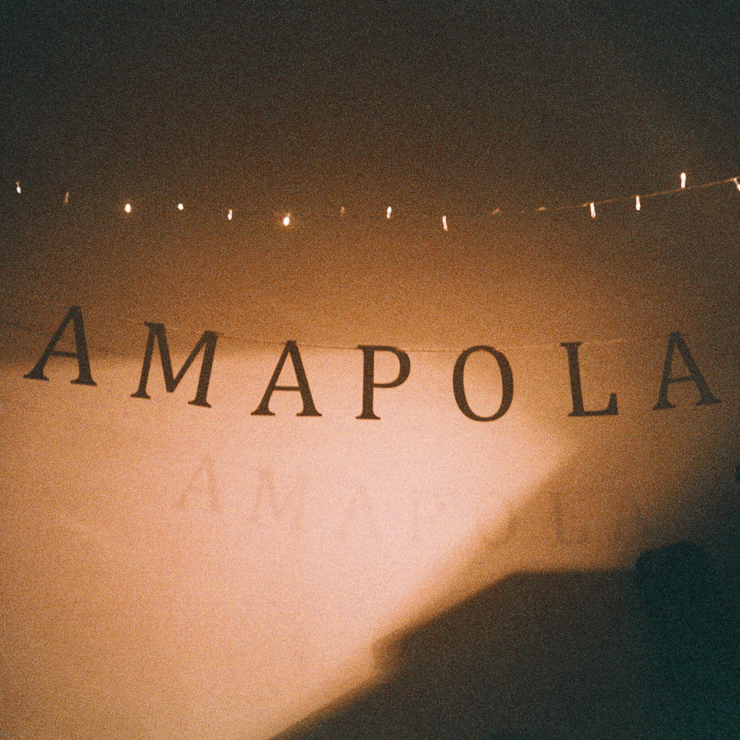 Amapola